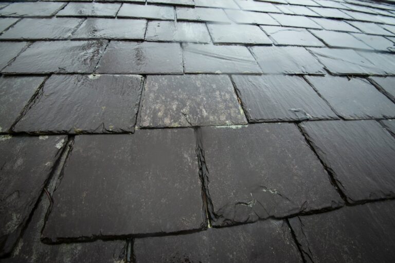 Wet winter roof care